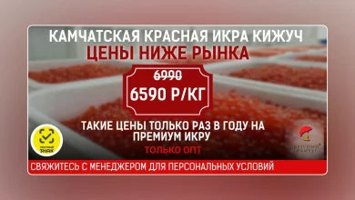 Photo of Красный жемчуг: оптовый поставщик красной икры в Москве