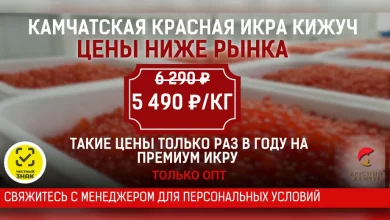 Photo of Оптовый поставщик красной икры в Москве: красный жемчуг